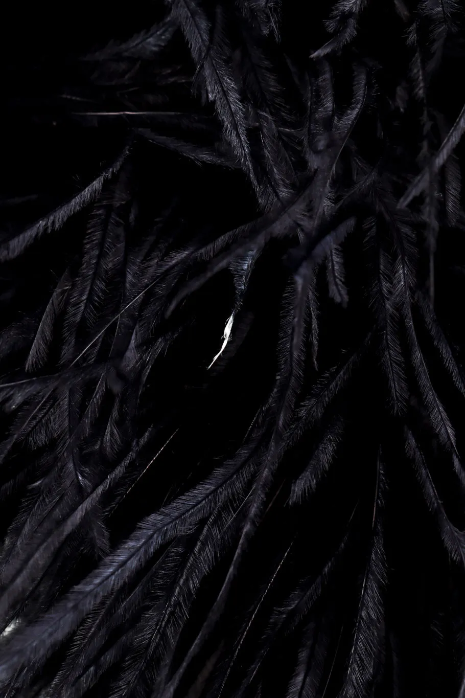Marabou Feather Hat