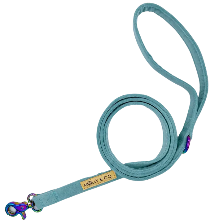 MOLLY & CO. - Leash - Molly Velvet