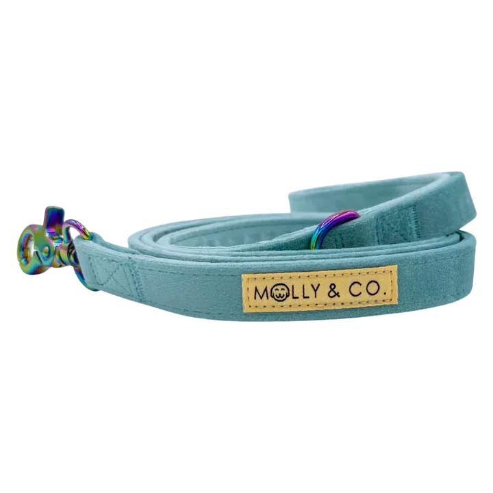 MOLLY & CO. - Leash - Molly Velvet