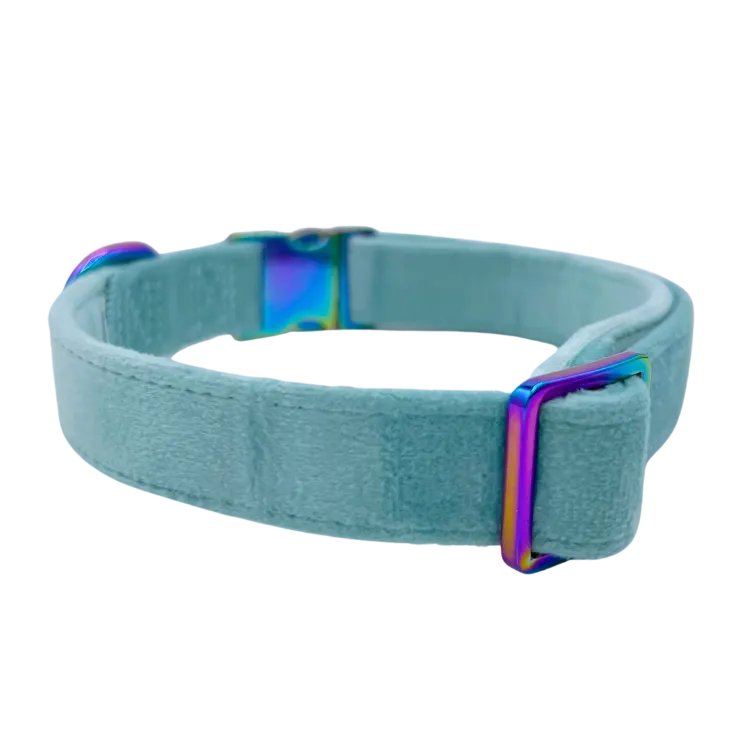 Molly Velvet - Dog Collar