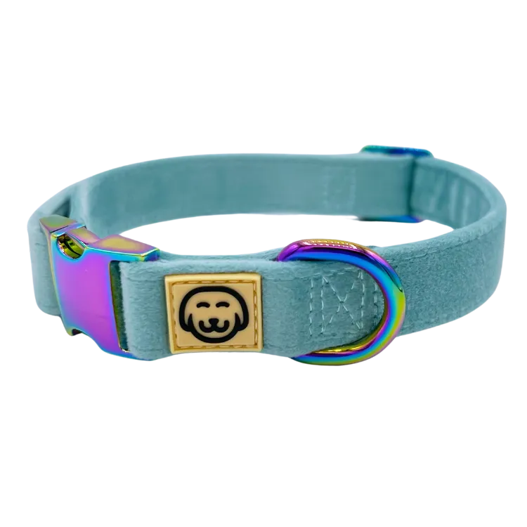 Molly Velvet - Dog Collar