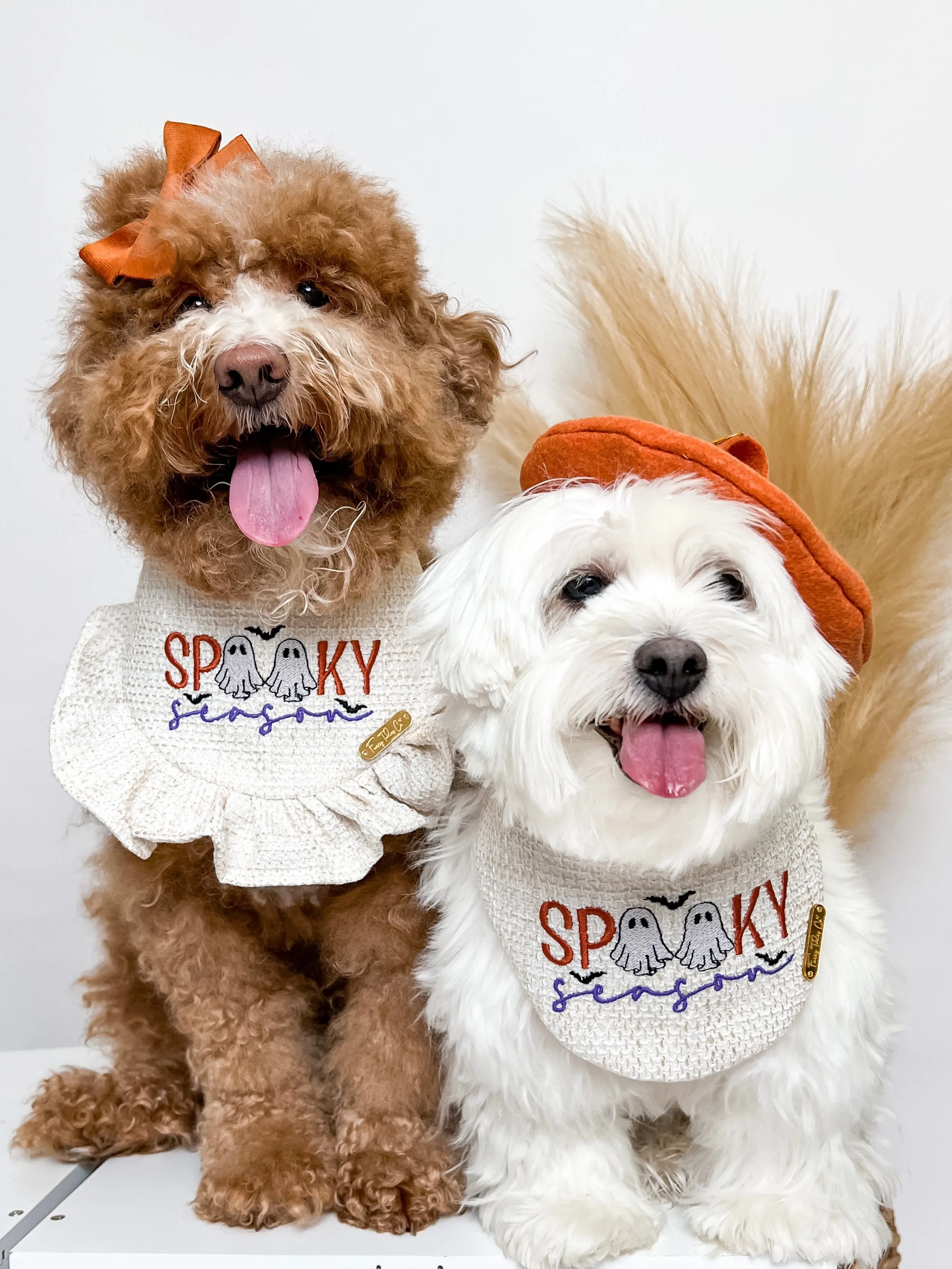 Spooky Season Bandana