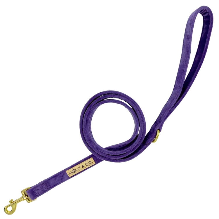 Violet Velvet - Dog Leash