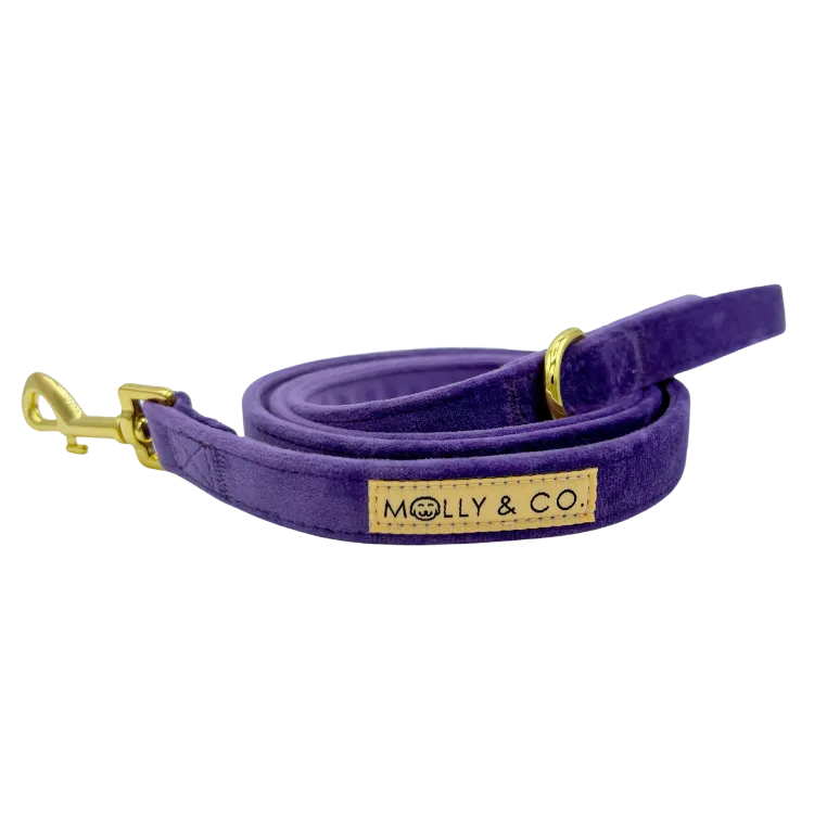 Violet Velvet - Dog Leash